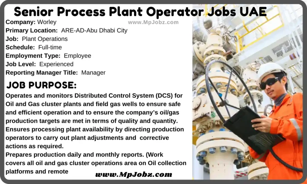 Senior Process Plant Operator Jobs UAE